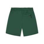 Broken Planet Mesh Shorts Green
